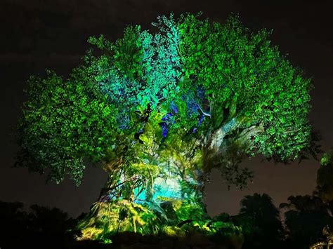 Download Mystical Tree of Life against a Starry Night Sky | Wallpapers.com