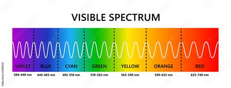 Visible light spectrum. Optical light wavelength. Electromagnetic ...