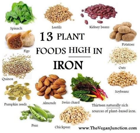 13 Plant Foods High in Iron | Vegan nutrition, Foods with iron, Foods high in iron