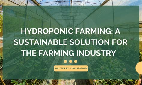 Hydroponic Farming: A Sustainable Solution for the Farming Industry - Youth in Food Systems