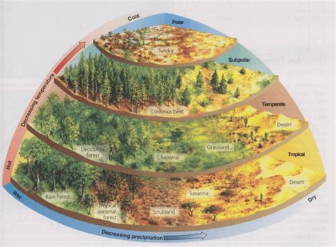 The Art Of Worldbuilding: A Deep Dive Into Fantasy Map Creation - Map France of Lourdes labeled