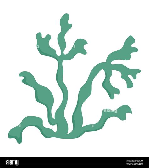 Ocean Plants Clipart