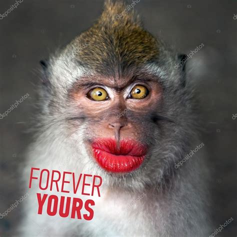 Funny monkey with a red lips — Stock Photo © watman #69190293