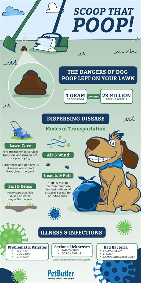 Does Dog Poop Have Disease