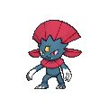 What is a good moveset for Weavile? - PokéBase Pokémon Answers