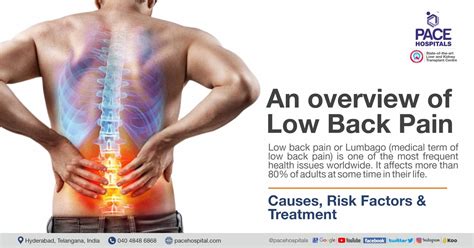 An overview of Low Back Pain | Causes, Risk Factors and Treatment