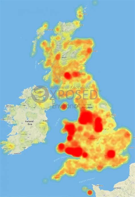 Japanese Knotweed UK Heat Map | Environet