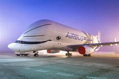 Take a look at the new Airbus Beluga XL as it flies to Britain - Somerset Live