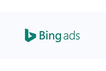 Bing Teal Logo