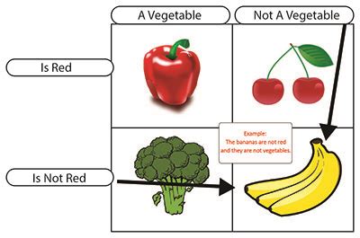 ¿Qué es un diagrama de Carroll? (¿y cuáles son sus aplicaciones didácticas?) | Conocer Ciencia