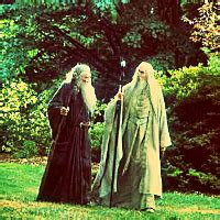 Saruman and Gandalf - Saruman Icon (36838474) - Fanpop