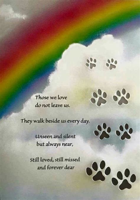 Pet Loss Poem, Pet Loss Quotes, Dog Quotes, Cat Loss, Tatuagem The Rock, Der Boxer, Miss My Dog ...