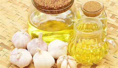 7 Key Benefits of Consuming Garlic Oil on Your Health - lifeberrys.com