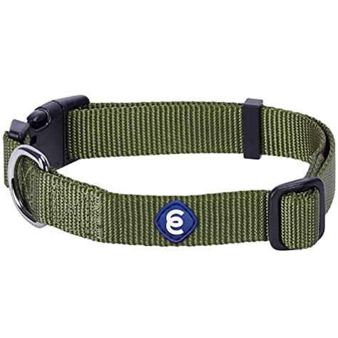 Best Dark Green Dog Collars: Find the Perfect Match for Your Pet