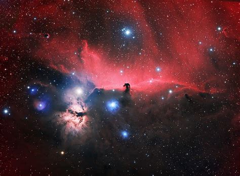 The Horsehead Nebula in Orion: An Unbridled Look | Discover Magazine