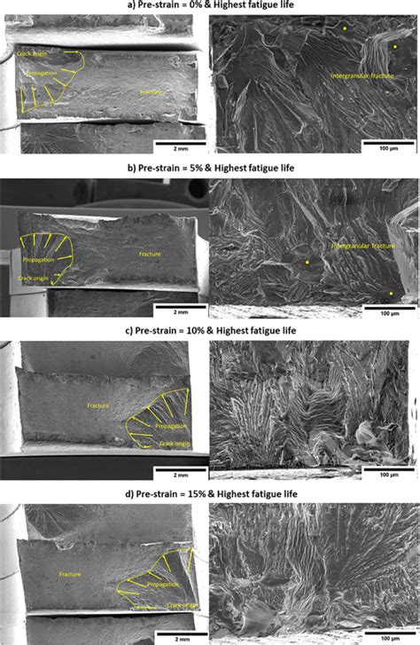 Fracture surfaces of fatigue specimens (highest fatigue life) observed ...