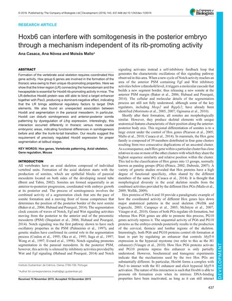 Hoxb6 Can Interfere with Somitogenesis in the Posterior Embryo Through a Mechanism Independent ...