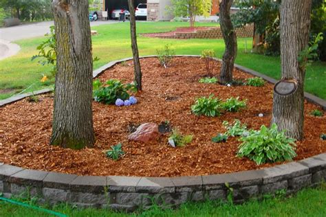 Easily Transform Your Lawn With Mulch: 2024 Guide | The Lawn Review