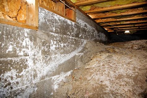 19 Beautiful Basement Water Damage Repair Cost - basement tips