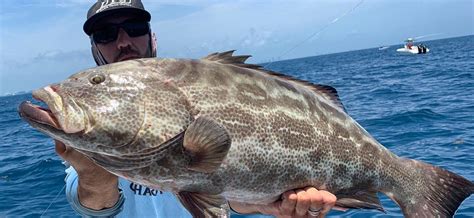 Grouper Fishing in Miami, Florida - How to Catch Grouper