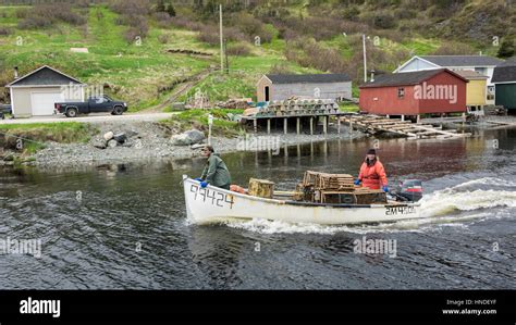 Lobster boat with fish shacks, fishing stages and lobster traps, Trout River, Newfoundland Stock ...