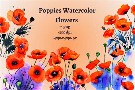 Poppies Watercolor Summer Flowers Graphic by LuckyLeaf Design · Creative Fabrica