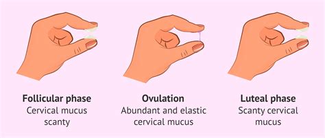 What causes changes in vaginal discharge?