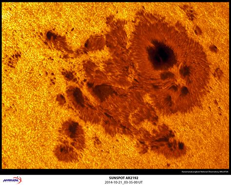 AR12192: The Largest Sunspot Group of Solar Cycle 24 - The Sun Today with C. Alex Young, Ph.D.