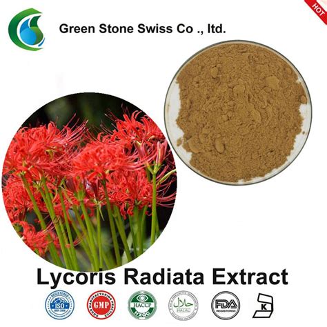 Lycoris Radiata Extract | Radiata, Herbal extracts, Extract