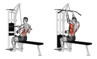 Exercise Database (Back6) - Narrow Underhand Grip Lat Pulldown — Jase Stuart - Mens Health Mentor