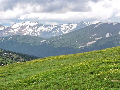 Alpine Tundra Photograph by Connor Beekman - Fine Art America