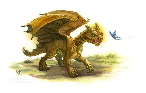 Copper Dragon Wyrmling | Blue dragon, Dungeons and dragons art, Dragon