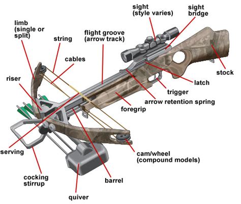 Parts of a Crossbow