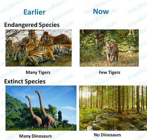 Extinct and Endangered Species - Meaning, Difference - Teachoo