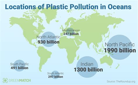 Plastic Pollution Statistics 2024 - Calla Corenda