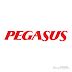 Pegasus Airlines Logo vector (.cdr) - BlogoVector