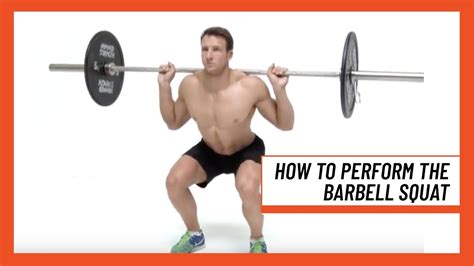 How To Do Barbell Squats (Form Muscles Worked) Steel Supplements | atelier-yuwa.ciao.jp