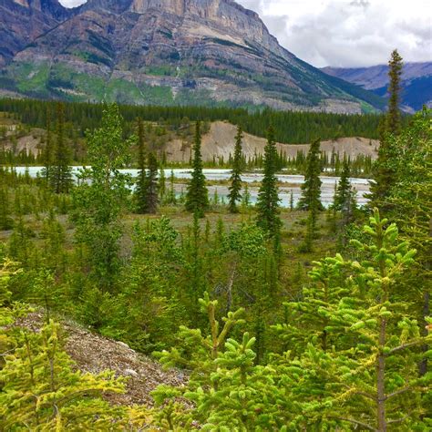 Saskatchewan River Crossing, in Alberta