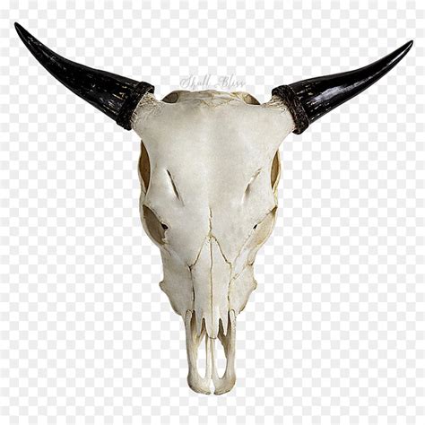 Free Cow Skull Silhouette, Download Free Cow Skull Silhouette png images, Free ClipArts on ...