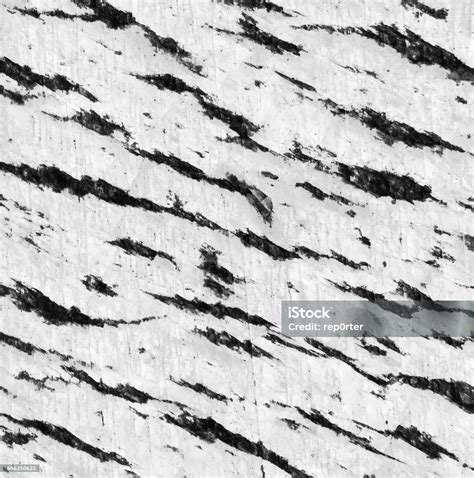 Pegmatite Texture Stock Photo - Download Image Now - Feldspar, Granite - Rock, Leopard - iStock