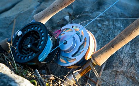 Best Fly Reels Under $100 (2023 Buyer's Guide) - Into Fly Fishing