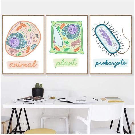 Biology Colorful Cell Type Wall Art - Do You Even Nerd?