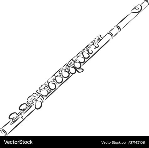 Flute drawing engraving ink line art Royalty Free Vector