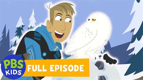 Wild Kratts FULL EPISODE | Snowy Owl Invasion | PBS KIDS | WPBS ...