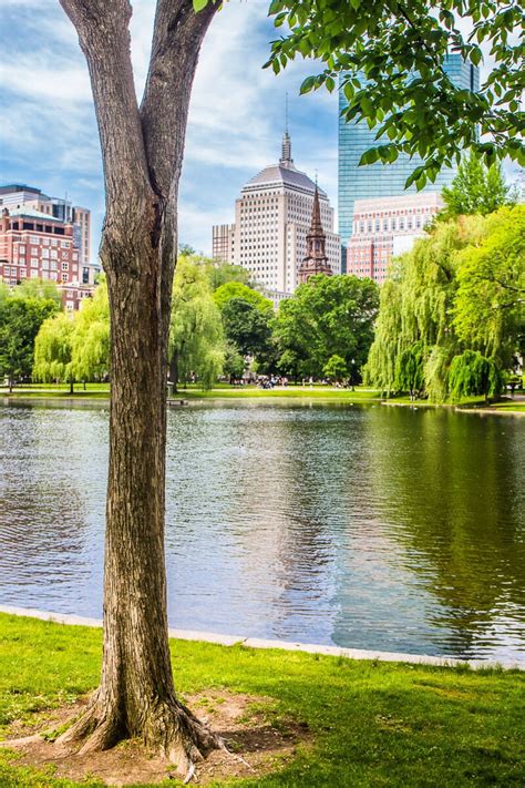 23 Legendary Things To Do In Boston With Kids For 2022