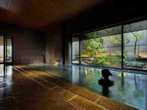 The 10 Best Tokyo Hotels With An Onsen (2025 Guide)