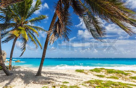 Bottom Bay beach in Barbados | Stock image | Colourbox