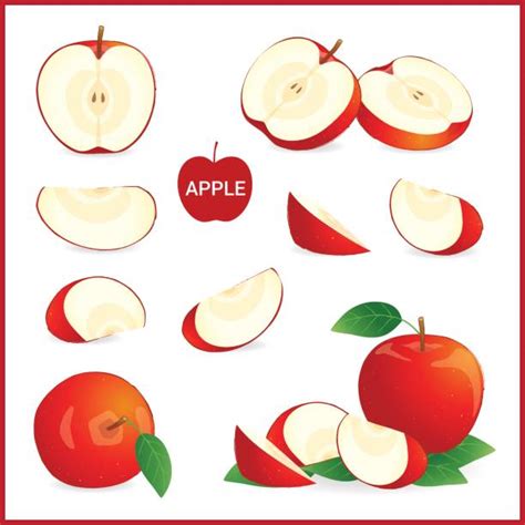 Apple Slice Illustrations, Royalty-Free Vector Graphics & Clip Art - iStock