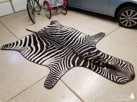 Crawshay's Zebra Rug Taxidermy | AfricaHunting.com