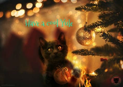 yule cat | Vintage holiday cards, Yule cat, Yule